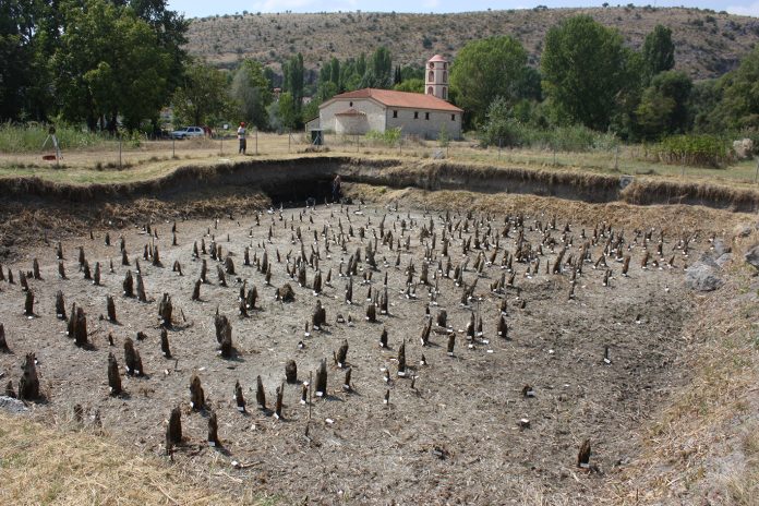The pile field at the site of Dispilio. Almost 800 piles, mostly made of juniper and oak wood, were sampled and dendrochronologically measured. This data forms the basis for the high-precision dating of this site. Dispilio is the first archaeological site to be dated to a precise year using the Miyake event of 5259 BC. © Dispilio Excavation Archive